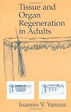 Tissue and Organ Regeneration in Adults