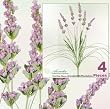Four 21" Lavender Artificial Silk Flower Bushes _lilac