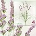 Four 21" Lavender Artificial Silk Flower Bushes _lilac
