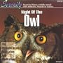 Night of the Owl