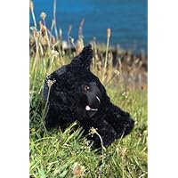 SOFT BLACK SHEEP