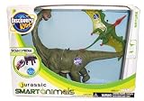 Discovery Kids - 3" Smart Animals - Jurassic Brachiosaurus and Rhamphorhynchus