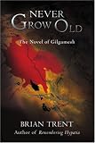 Never Grow Old: The Novel of Gilgamesh