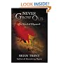 Never Grow Old: The Novel of Gilgamesh