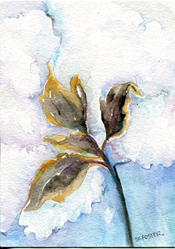 Cotton Watercolor Painting 5 x 7, original watercolor of cotton bolls