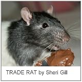 Trade Rat: A Bedtime Book For Children (Wonderful Read-Aloud Chapter Books For All Ages)