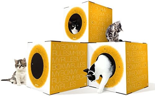 4 Pack Corrugated Cardboard Cat Box | Fuzzy Yellow Houses For Cats, Cat Houses For Indoor Cats