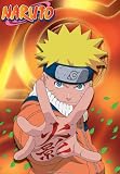 Naruto -Naruto Hokage-One Sheet Poster Print, 27x40