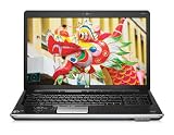 HP dv7-3010eg 43,9 cm (17,3 Zoll) Notebook (AMD Athlon 64 X2 M300 2GHz, 4GB RAM, 500GB HDD, ATI HD4650, DVD, Win 7 HP)
