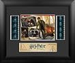 Harry Potter and the Deathly Hallows Part 2 (Series 1) Double Film Cell Presentation