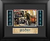 Harry Potter and the Deathly Hallows Part 2 (Series 1) Double Film Cell Presentation