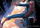 Spiderman - Movie Poster (Size: 40'' x 27'')