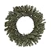 Vickerman 456033 - 24" Colorado Spruce 35 Warm White/Color Changing LED Lights Christmas Wreath (A164326LED)