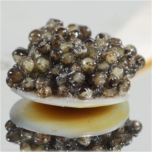 Osetra Black Caviar -'Malossol' by Sturgeon Caviar
