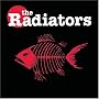 The Radiators