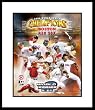 2004 Boston Red Sox MLB Framed 8x10 Photograph Team College