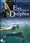 Eye of the Dolphin