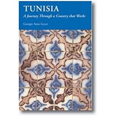 Tunisia:  A Journey Through a Country That Works