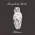 Palomino by Trampled By Turtles