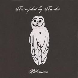 Trampled By Turtles Picture 1