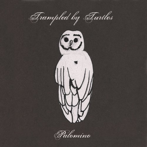 Trampled By Turtles Picture