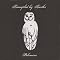Trampled By Turtles Picture 1