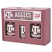 Texas A&M Aggies Tailgate Party Pack