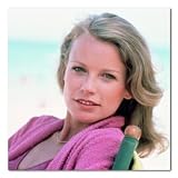 Shelley Hack Color Box Canvas Print Gallery Wrapped - 18x18 Inches (Charlie's Angels)