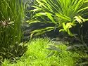 Fish Aquarium at Wilhelma Zoo and Botanical Gardens, Stuttgart, Baden Wurttemberg, Germany Photographic Poster Print by Yadid Levy, 24x18