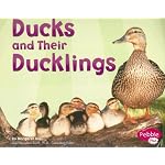Ducks and Their Ducklings (Pebble Plus: Animal Offspring) book cover