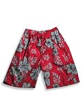 Private Label - Boys Swim Shorts, Red Grey