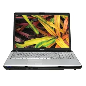 Toshiba Satellite P205-S6337 Laptop