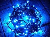 LEDイルミネーション　イルミナライン・プロ　青　ブルー 100球　高性能防水機能　 六本木ヒルズ　ミッドタウン