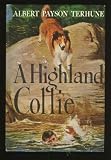 A HIGHLAND COLLIE
