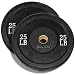 25 Pound Solid Rubber Bumper Plates Pair