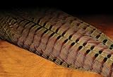 Fishing: Pheasant Tail Clumps Fly Material