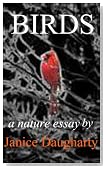 Birds in Migration: a descriptive nature essay