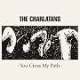 You Cross My Path: Limited Edition