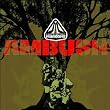 Ambush