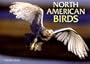 North American Birds