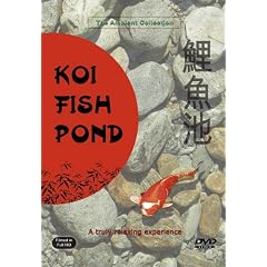 Koi Fish Pond