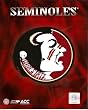 Florida State Seminoles Logo 8x10 Photo