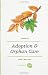 Books : A Guide to Adoption and Orphan Care (Volume 2)
