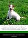 Jack Russel Terriers: Understanding the Needs and Limits of the High Energy Working Dog Including Tips on Training and Activities for Jack Russel Terriers