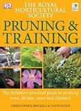 RHS Pruning and Training (Rhs)