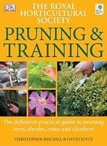 RHS Pruning and Training