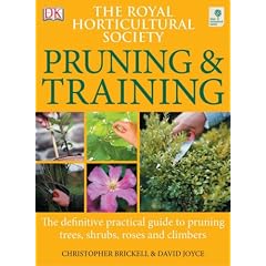 RHS Pruning & Training