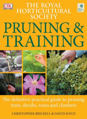 RHS Pruning and Training