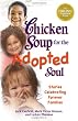 Chicken Soup for the Adopted Soul: Stories Celebrating Forever Families (Chicken Soup for the Soul)