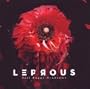 Tall Poppy Syndrome